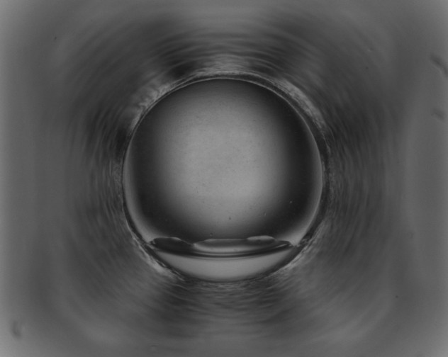 X0000093121337200709261320