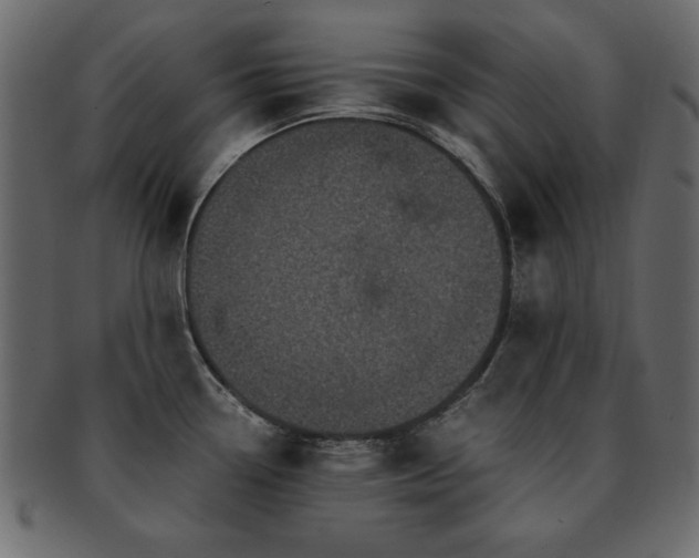 X0000093121338200709261320