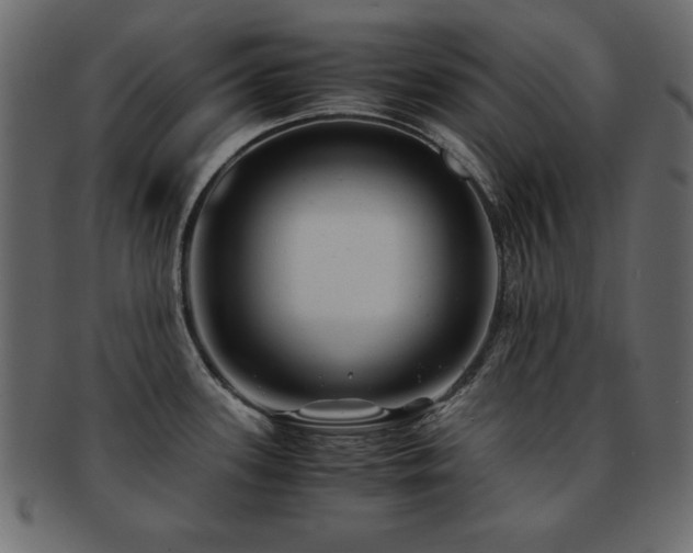 X0000093121339200709261320