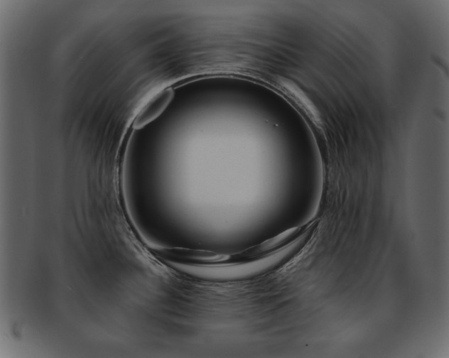 X0000093121340200709261320