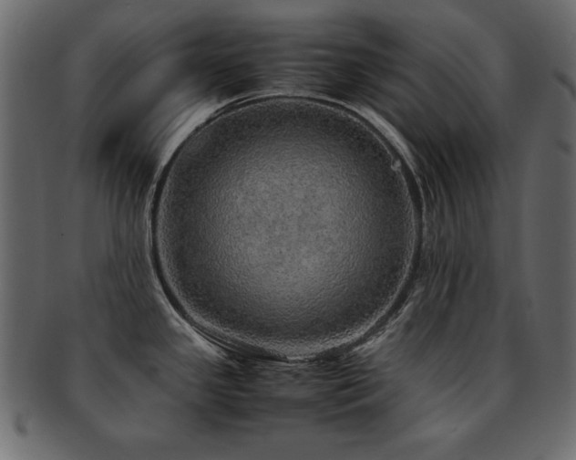 X0000093121341200709261320