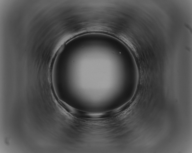 X0000093121342200709261320