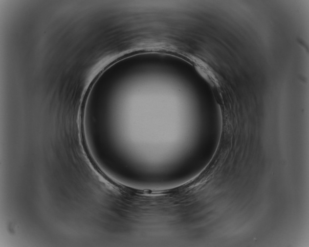 X0000093121343200709261320