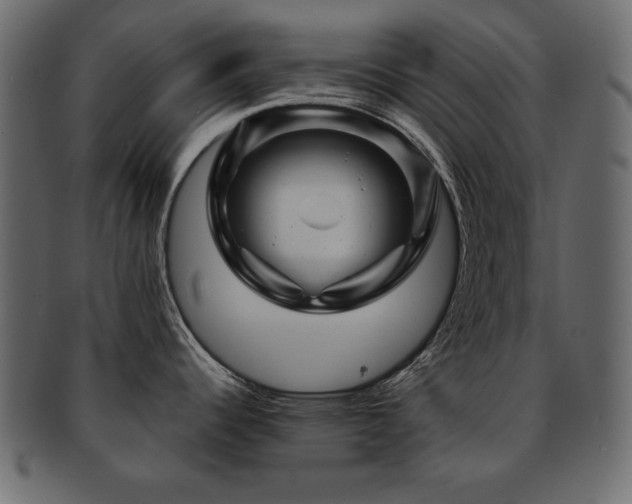 X0000093121344200709261320