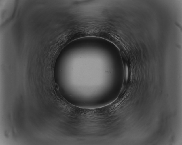 X0000093121345200709261320