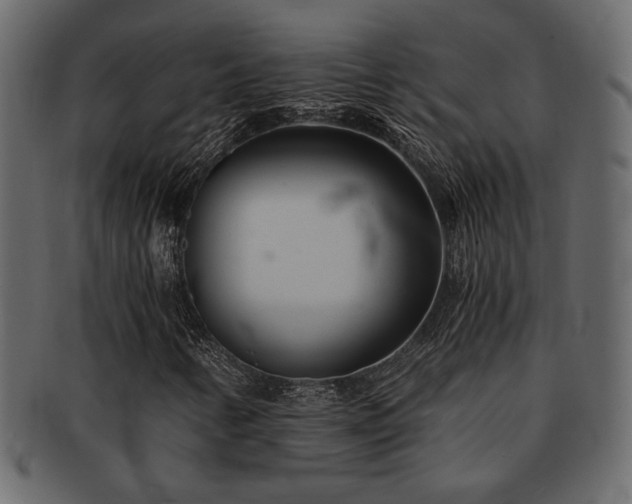X0000093121346200709261320