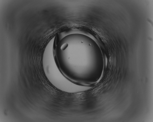 X0000093121348200709261320