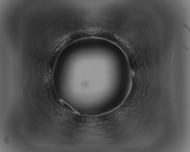 X0000093121349200709261320