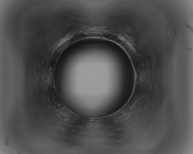 X0000093121350200709261320