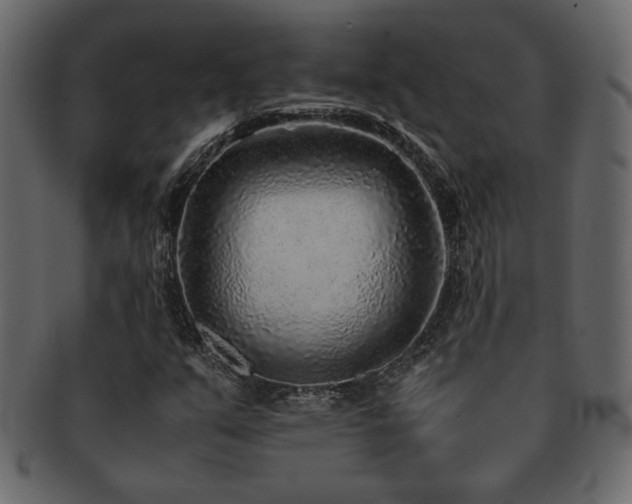 X0000093121351200709261320