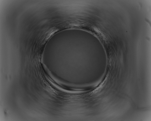 X0000093121353200709261320
