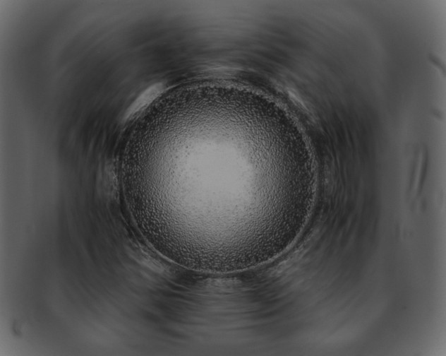 X0000093121354200709261320