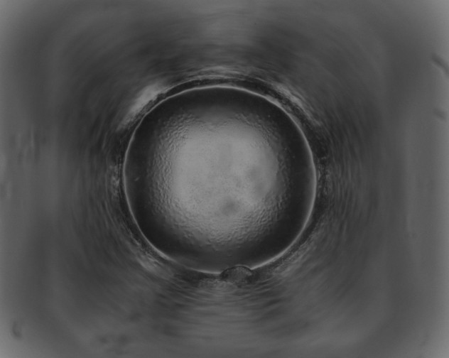 X0000093121355200709261320