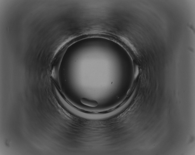 X0000093121356200709261320