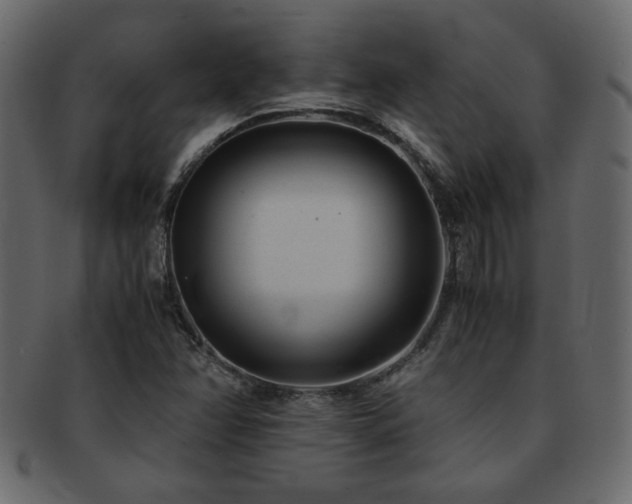 X0000093121358200709261320