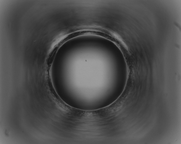 X0000093121360200709261320