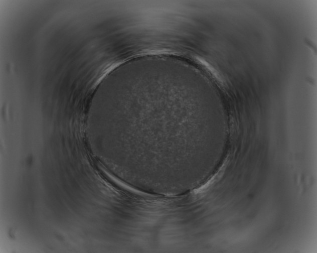 X0000093121361200709261320