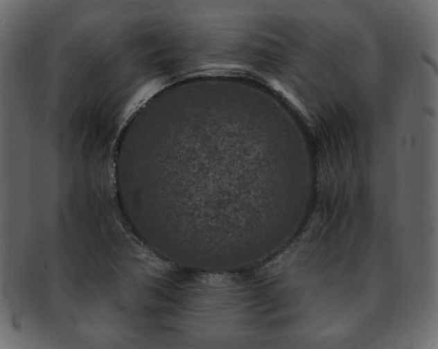 X0000093121362200709261320