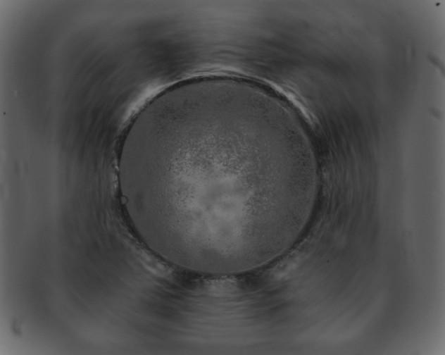 X0000093121363200709261320