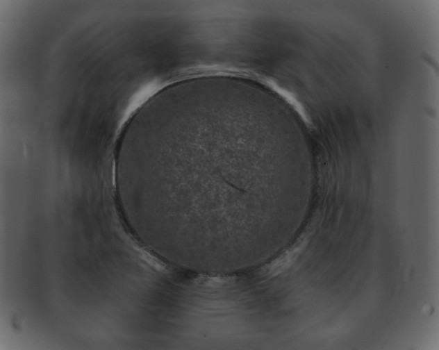 X0000093121365200709261319