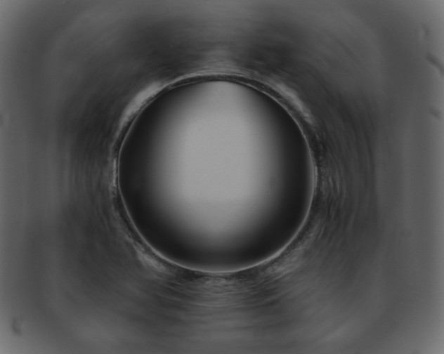 X0000093121366200709261319