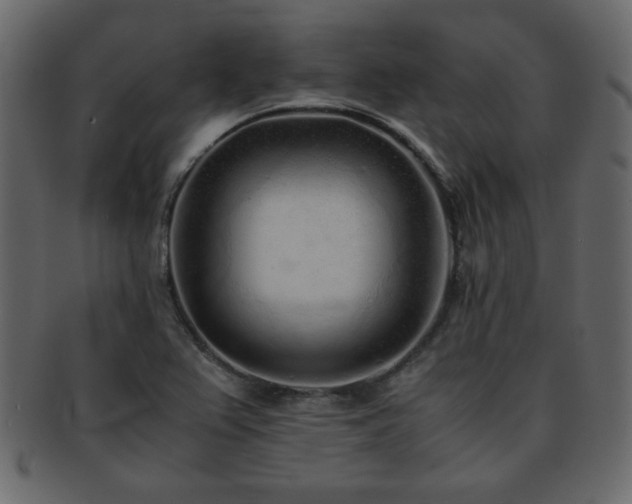 X0000093121367200709261319