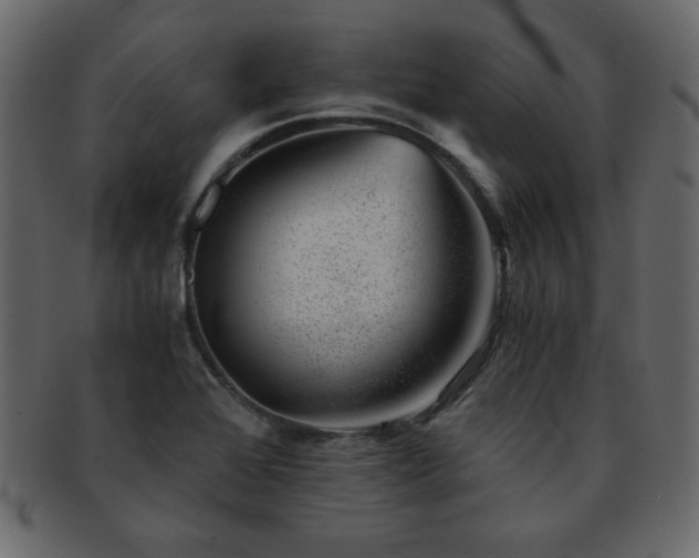 X0000093121368200709261319