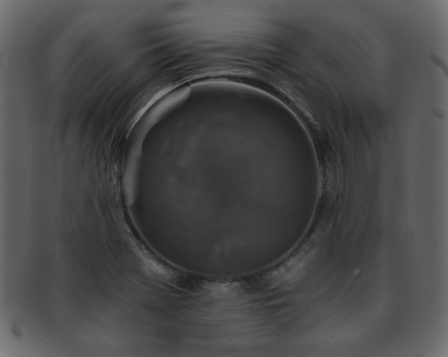 X0000093121369200709261319