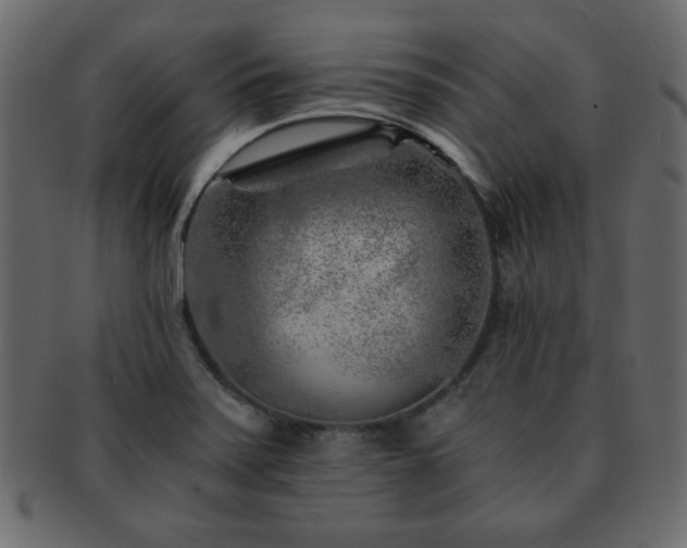 X0000093121371200709261319