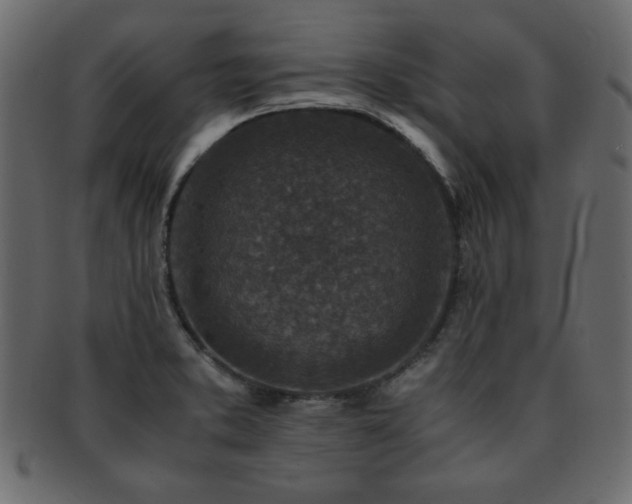 X0000093121373200709261319
