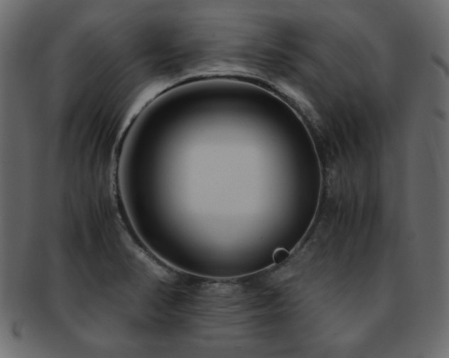 X0000093121374200709261319