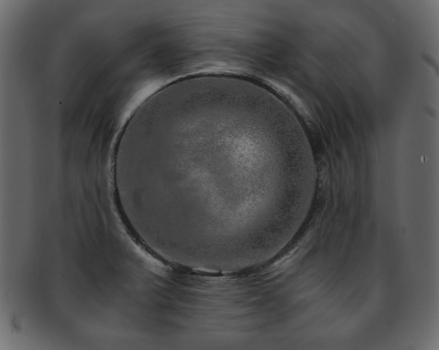 X0000093121375200709261319
