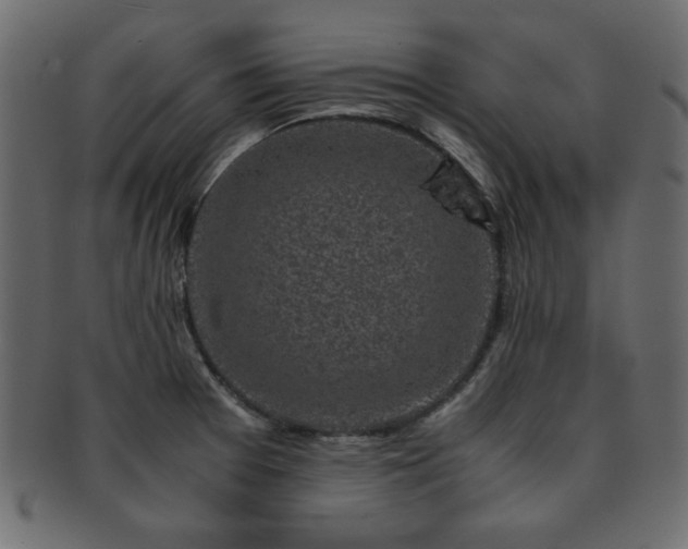 X0000093121377200709261319