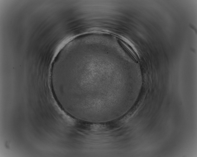 X0000093121379200709261319