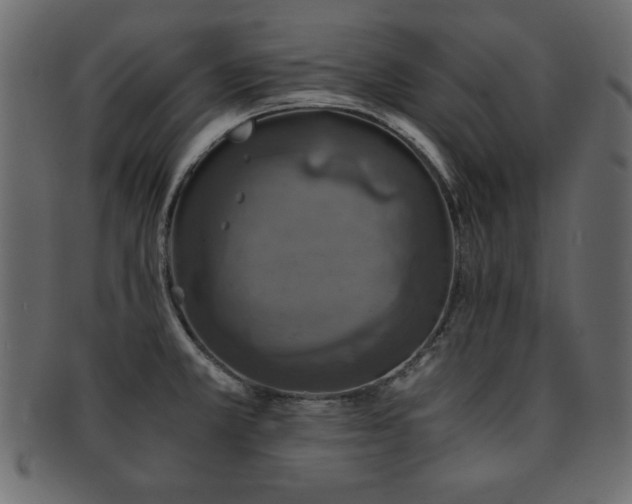 X0000093121381200709261319