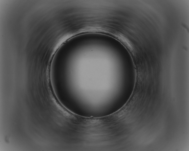 X0000093121382200709261319