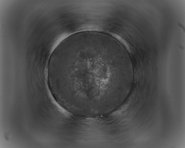 X0000093121383200709261319