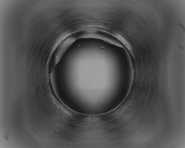 X0000093121384200709261319