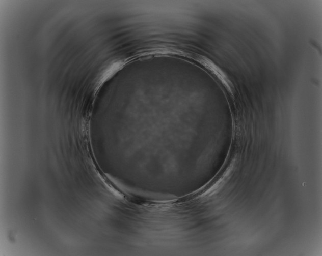 X0000093121385200709261319