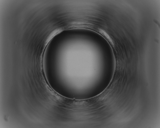 X0000093121386200709261319