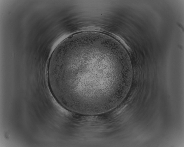 X0000093121387200709261319
