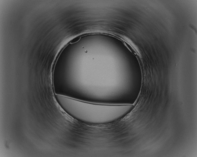 X0000093121388200709261319
