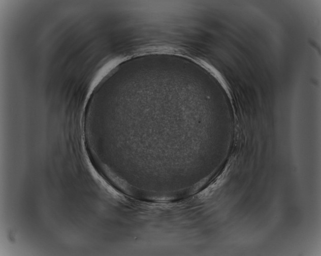 X0000093121389200709261319