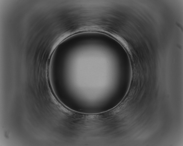 X0000093121390200709261319