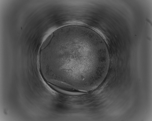 X0000093121391200709261319