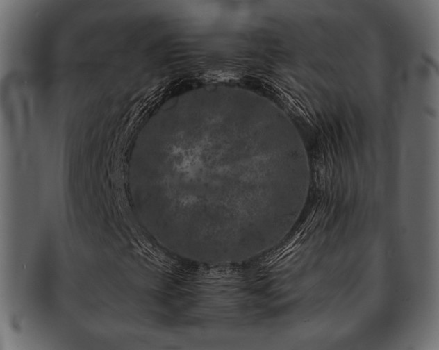 X0000093121393200709261318