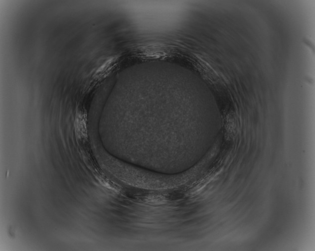 X0000093121394200709261318