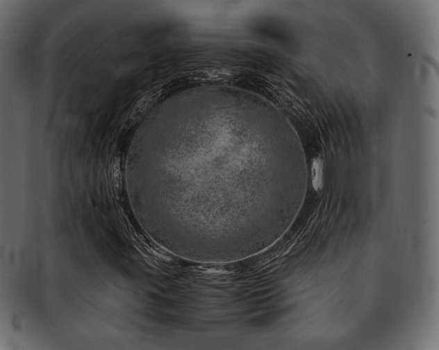 X0000093121395200709261318