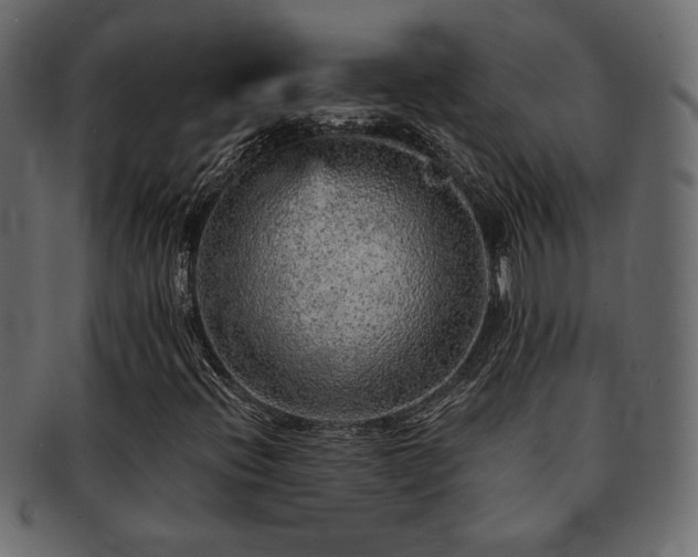 X0000093121396200709261318