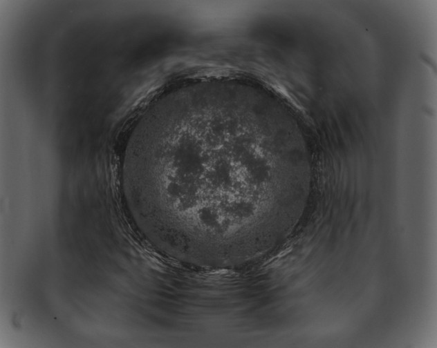 X0000093121399200709261319